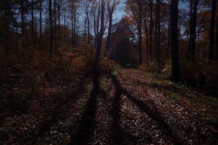 monika_m_seibel_ardennes en autumne_09045.jpg